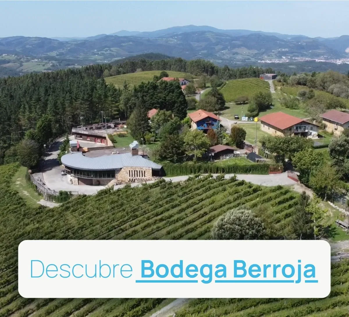 Descubre bodega Berroja en Urdaibai