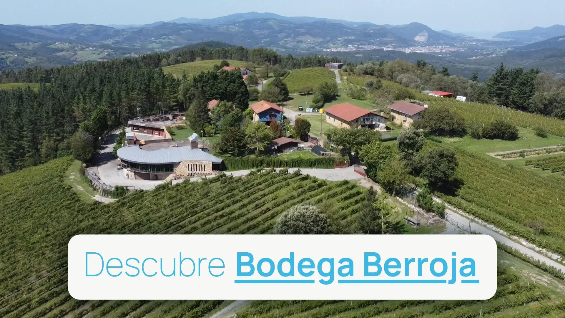 Descubre Bodega Berroja en Urdaibai